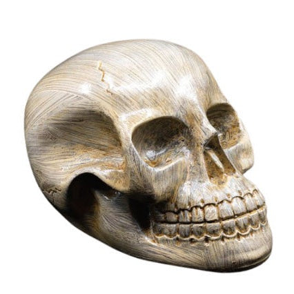 ZenNaturalCaveira de Resina – BEJE 12 cm