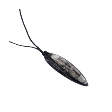ZenNatural_Fio com Orthocera