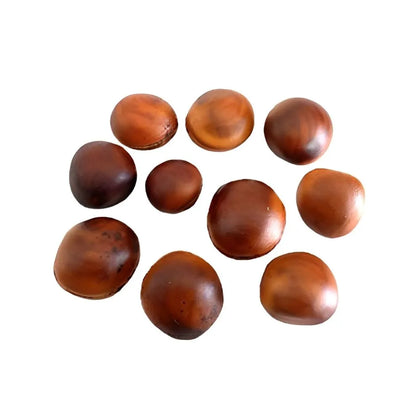 Semente-Olho-de-Boi-1