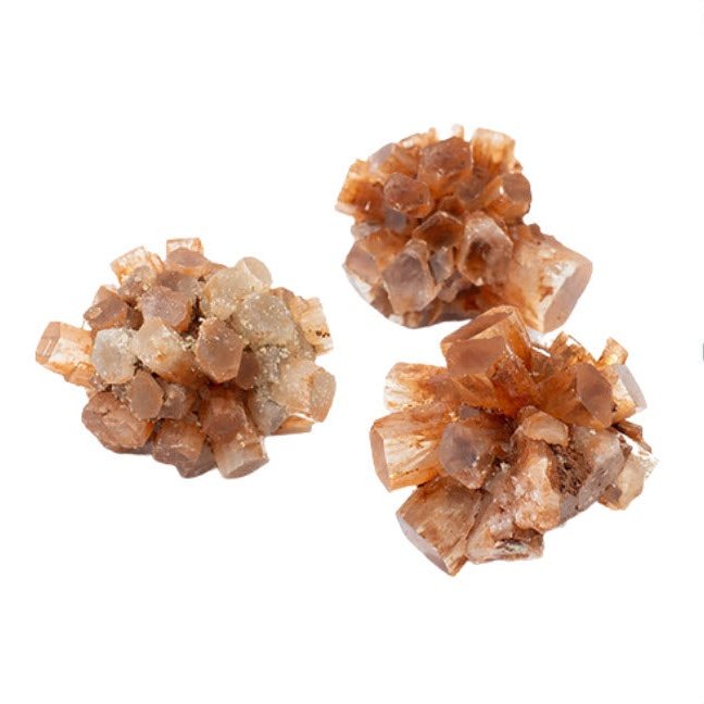 Aragonite - Pinha 20/30 | Unidade | Calibre: 25/35 mm • Peso: 20/30 grs - ZenNatural