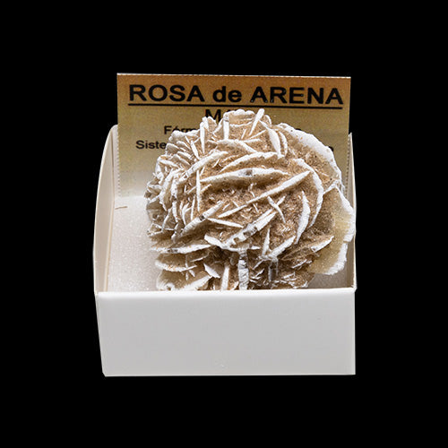 Rosa do Deserto - 4X4 | Unidade | 4 X 4 cm - ZenNatural