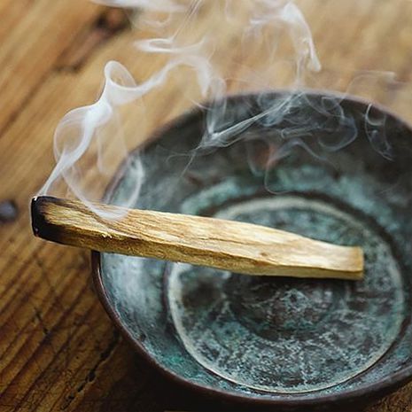 products-Palo_Santo_Pau_Santo_Burning_Queimar